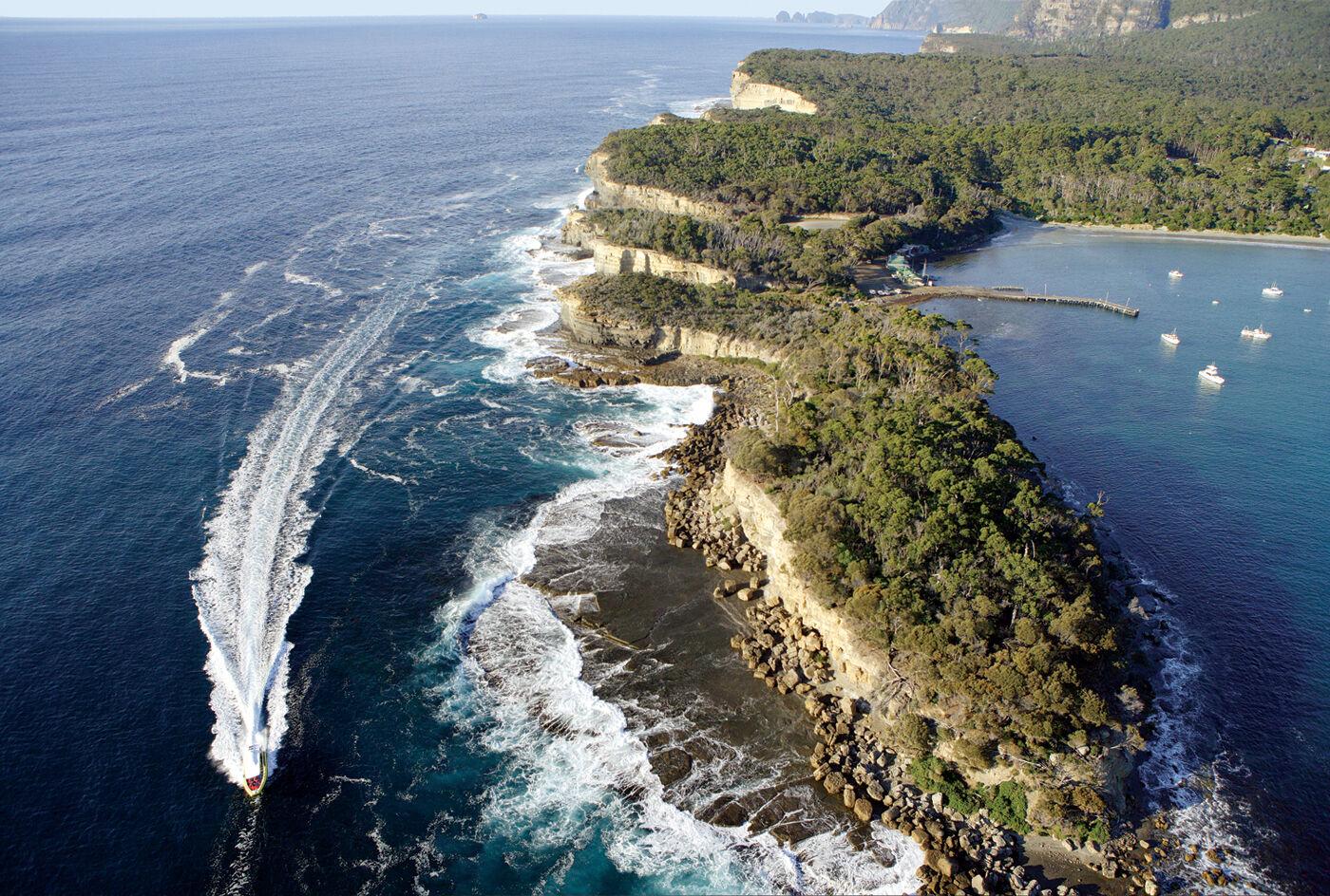 Tasman Island Nature Cruise - 3 Hours