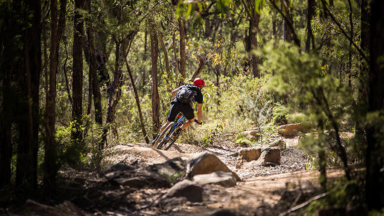 The Oaks Trail Mountain Bike Self Guided Ride with Bike Hire