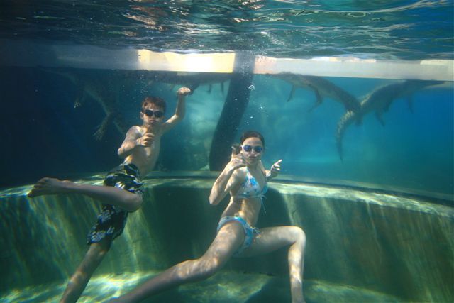 crocosaurus cove discount
