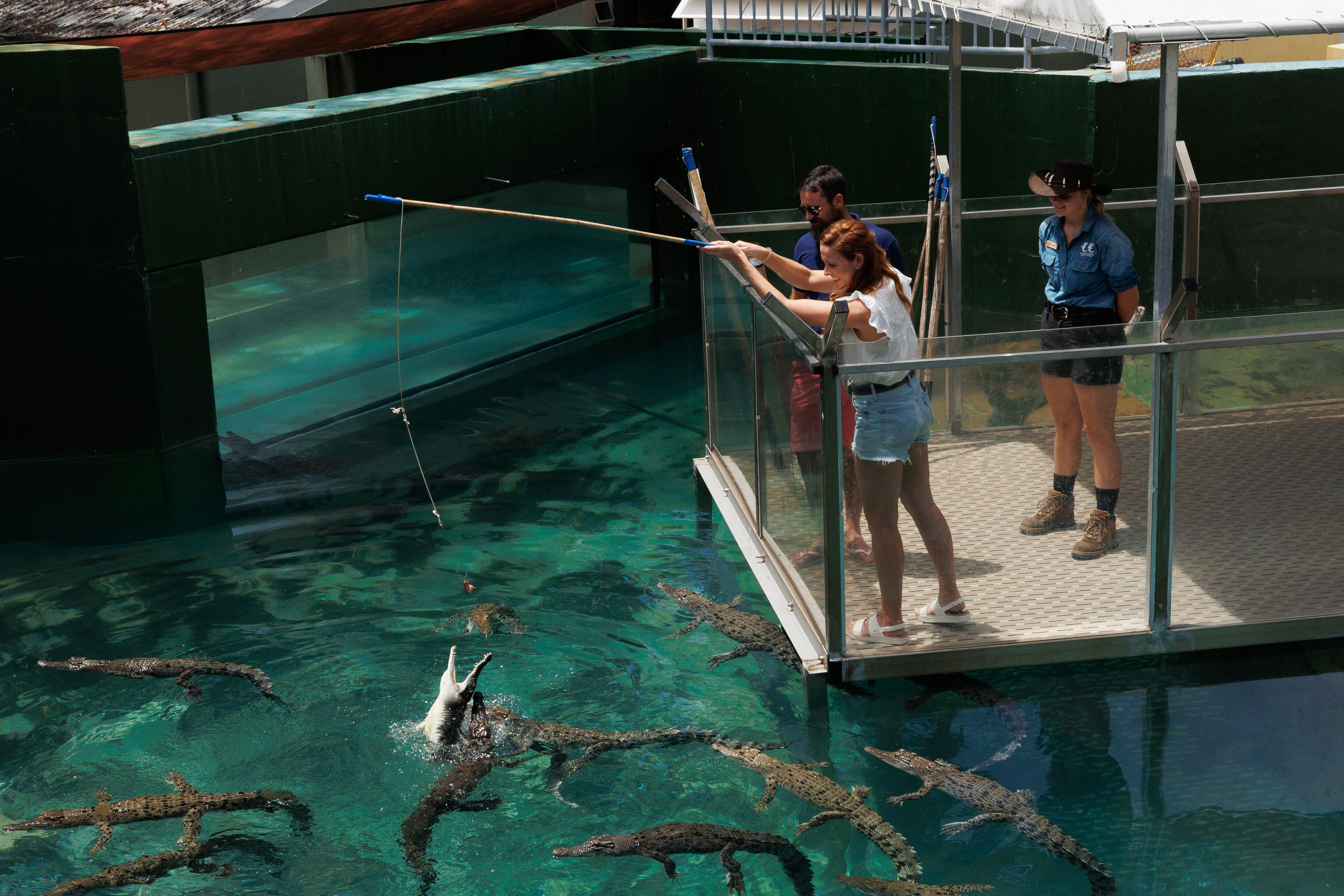 Crocodile Tour At Crocosaurus Cove RedBalloon Darwin Experiences