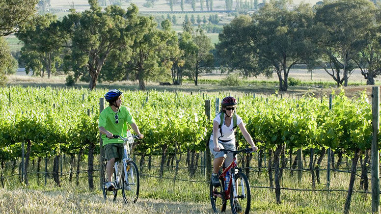 Cycle Tour, Cycling Holidays, Adventure 
