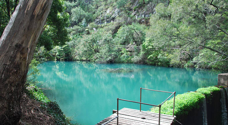 Jenolan Caves, Blue Mountains and River Cruise Tour