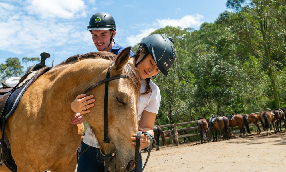 Horse riding and camping top