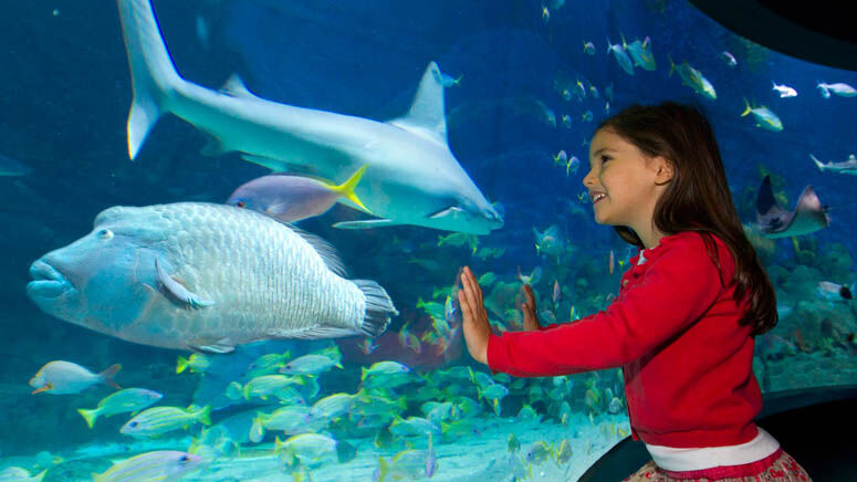 SEA LIFE Melbourne Aquarium Entry