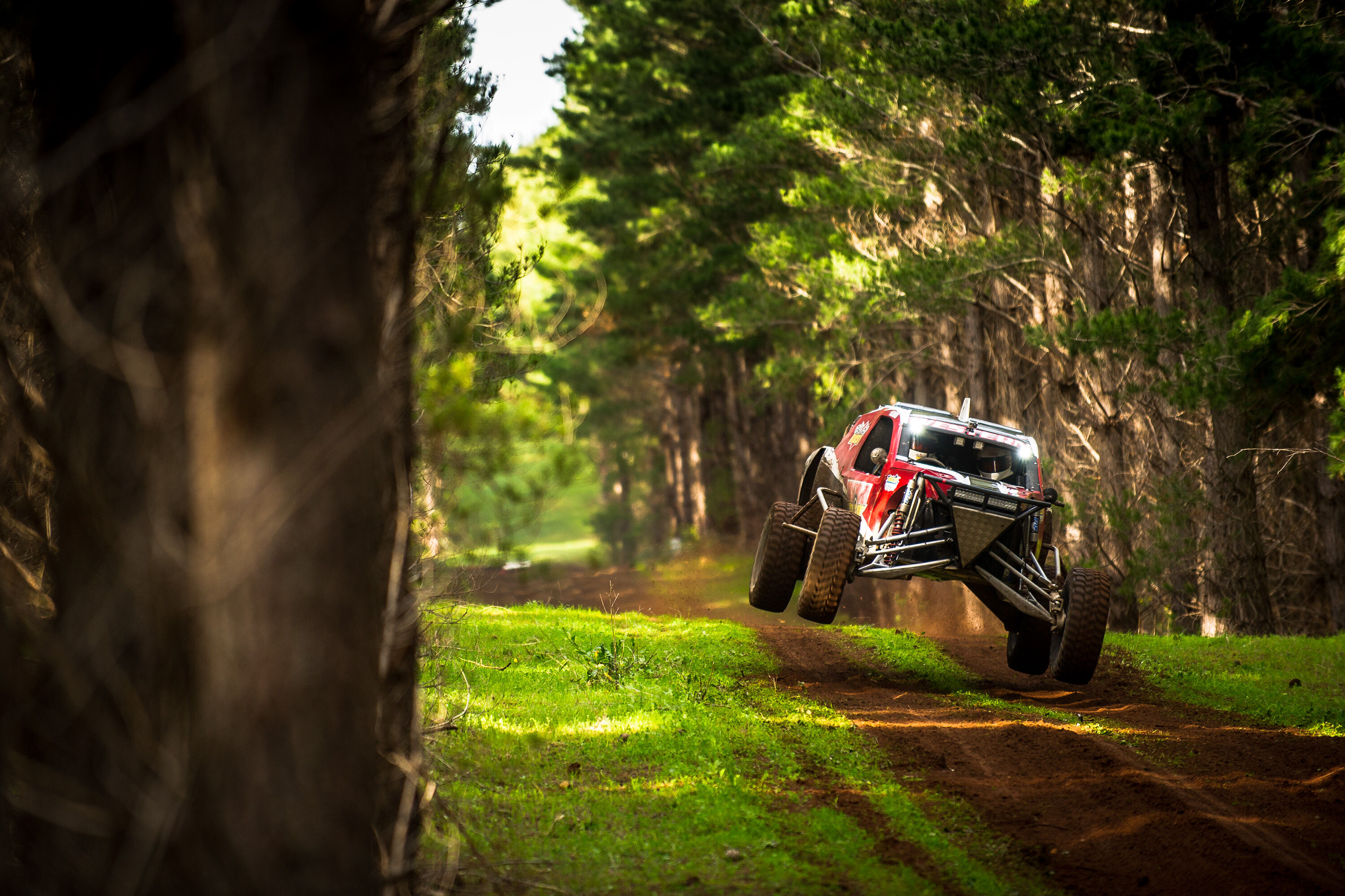 V8 off road buggy for sale 2025