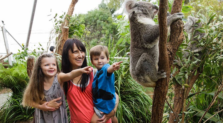 WILD LIFE Sydney Zoo Admission