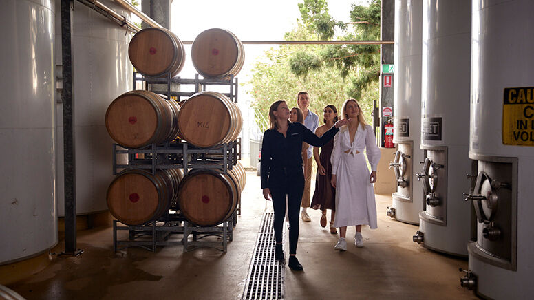Wine Tasting Wine Tours Brisbane RedBalloon