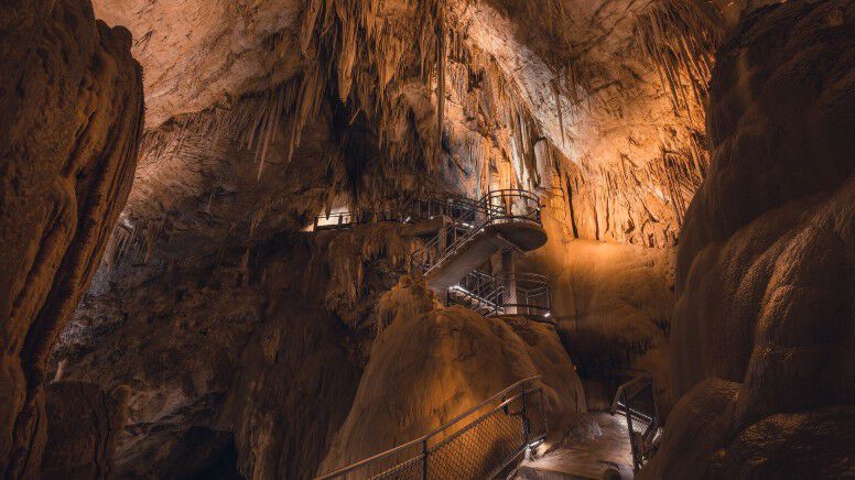 Hastings Caves, Thermal Springs and Tahune AirWalk Tour