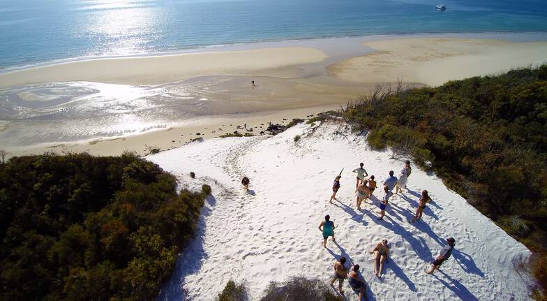 Fraser Island National Park Discovery Tour - Full Day