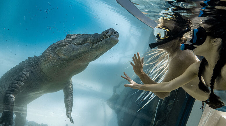 Crocs swim clearance
