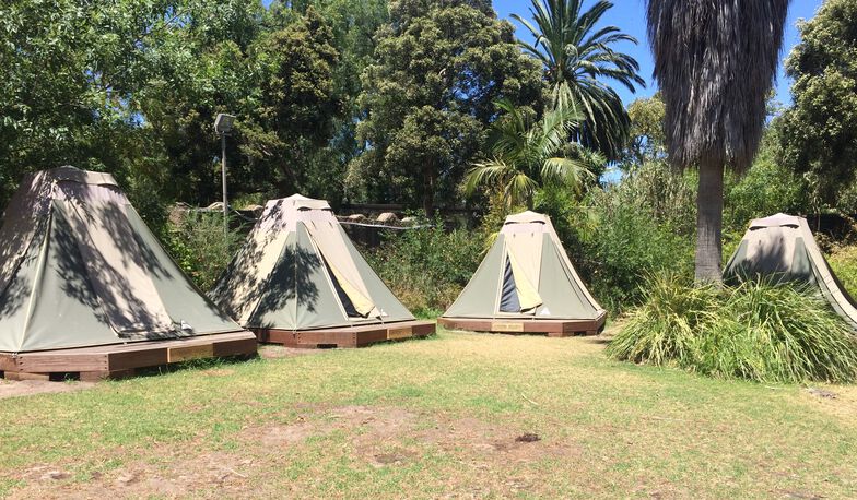 Camping　At　Roar　Snore　From　RedBalloon　'N'　Melbourne　Overnight　Zoo