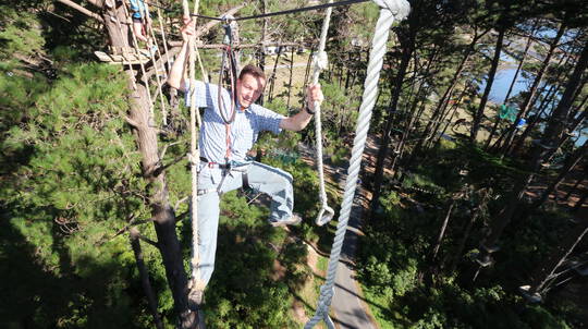 Forest High Ropes and Ziplining Adventure - Wellington