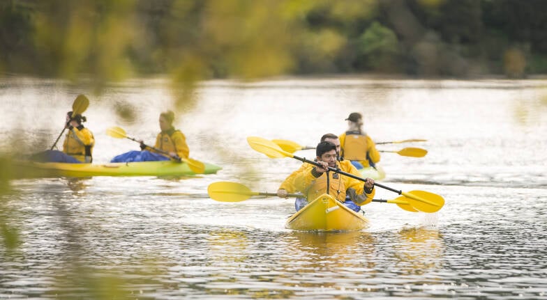 kayak on lake karapiro