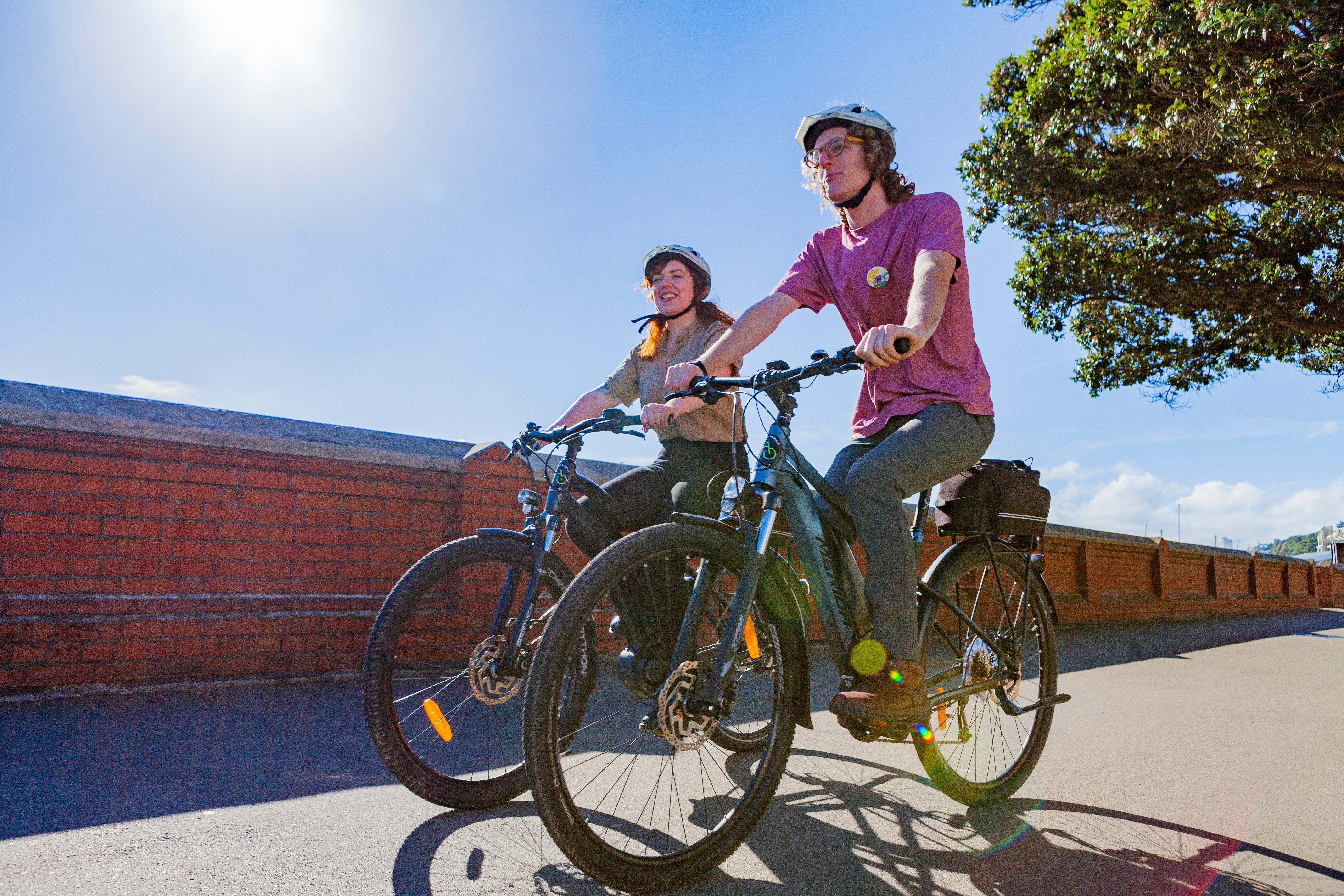 Wellington Electric Bike Hire Half Day