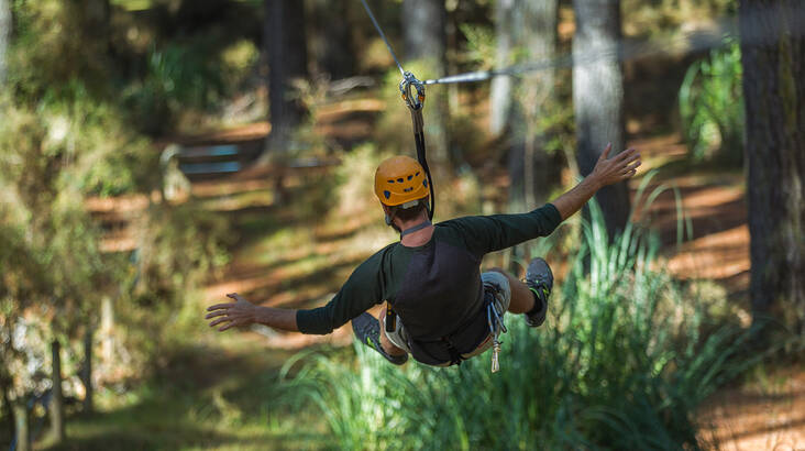 Tarzan Rope High Ropes Adventure - Tarzan's Test